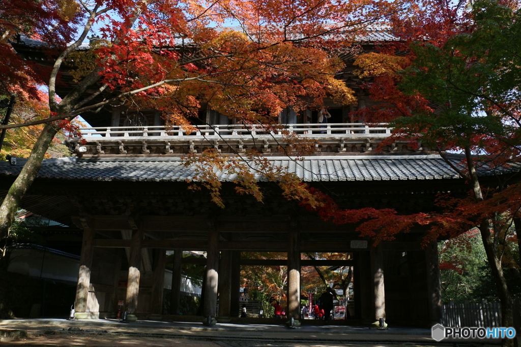 湖東三山の秋 2017 -⑥