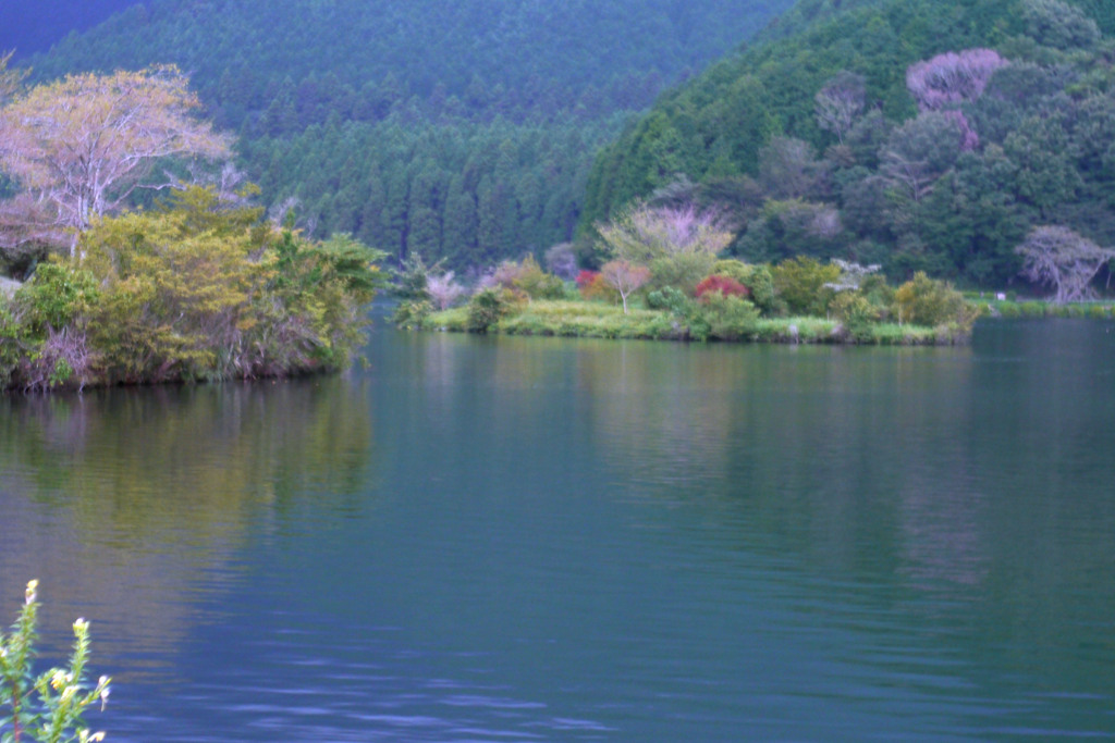 Color Skoper X f=2.8 50mm試写-⑯