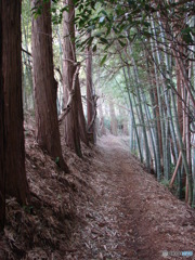 暮色の我が街散歩　⑦