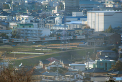 三島市街を行く踊り子さん＾＾