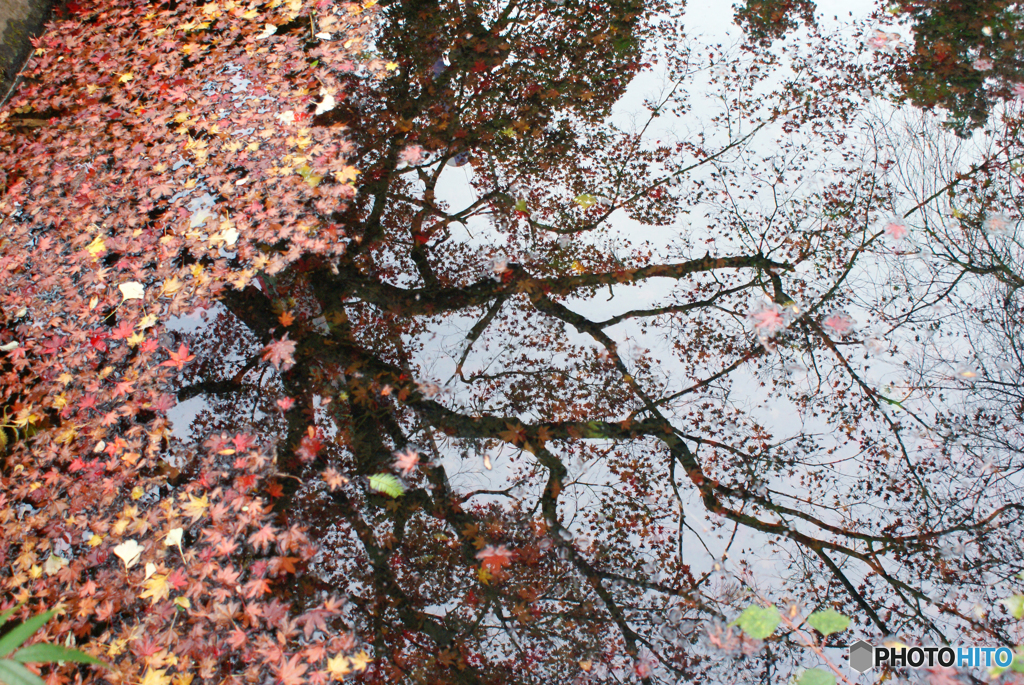 大雄山最乗寺2011-➆