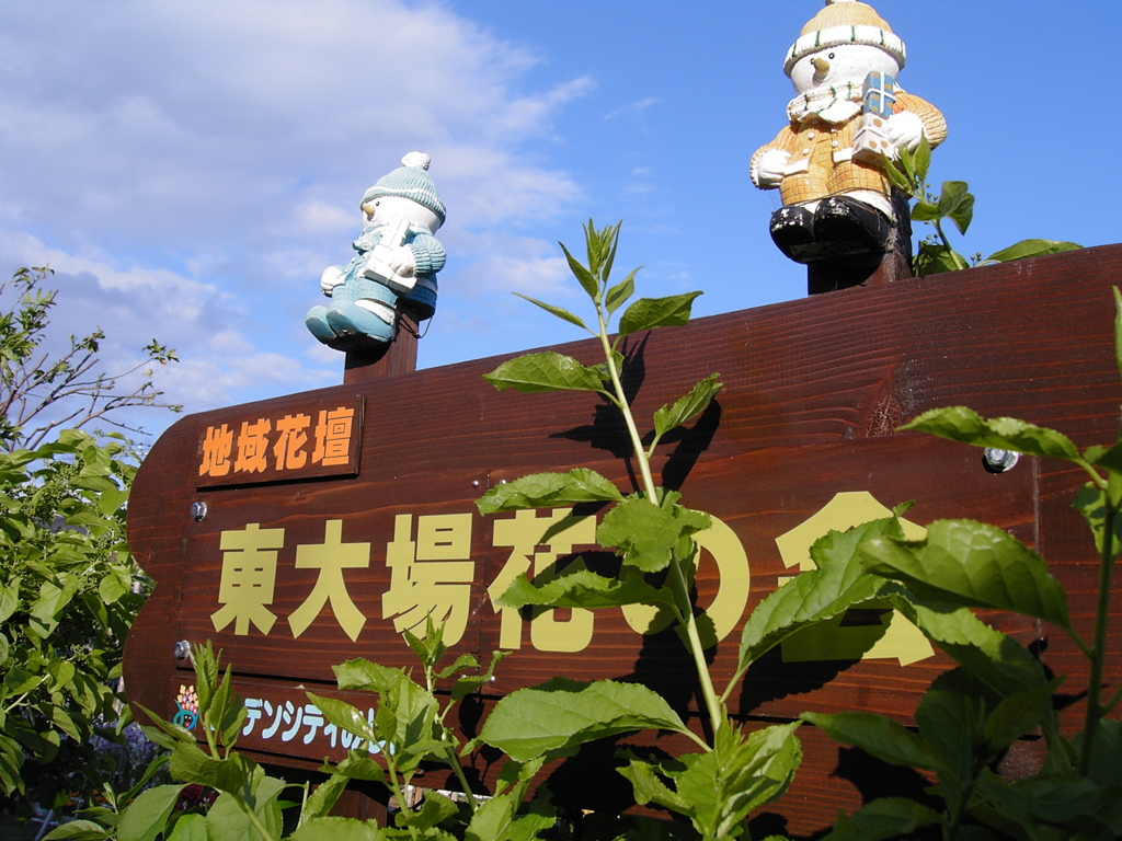 町内の散歩と写真撮影くらいはさせてよ！➆
