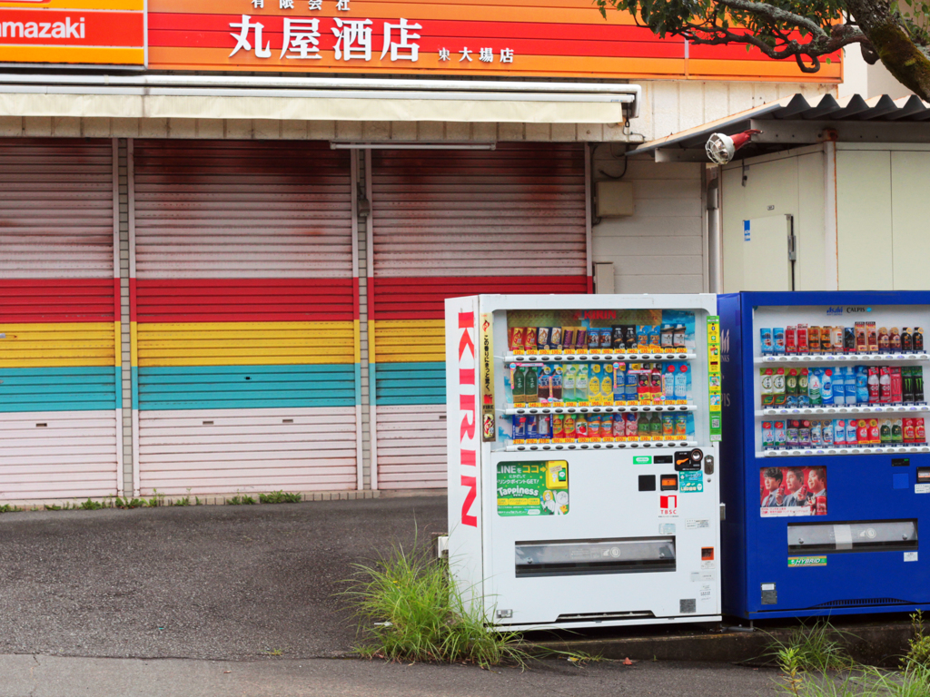助けた亀等（カメラ）に連れられて-⑥