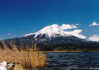 厳冬期の富士山 シリーズ1-①