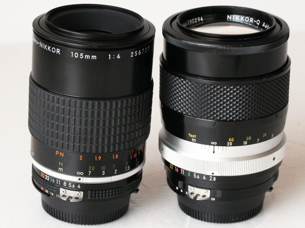 荒れ野に咲く‐➂