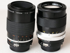 荒れ野に咲く‐➂