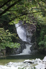 白州の森と尾白川渓谷-⑥