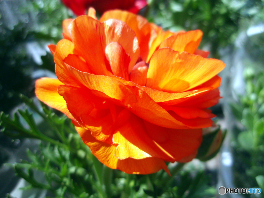 お花がいっぱい！ 200428-①