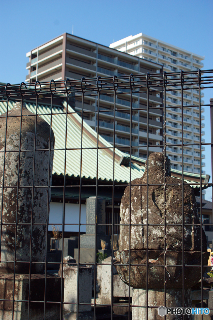 変わりゆく町を見続けて