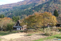 秋色迫る 2017-①