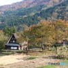 秋色迫る 2017-①