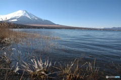 厳冬期の山中湖2010