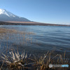 厳冬期の山中湖2010