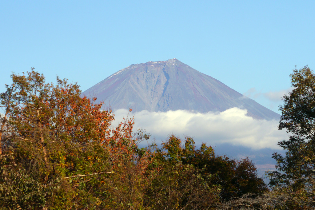 今日の富士山を田貫湖から望む-③