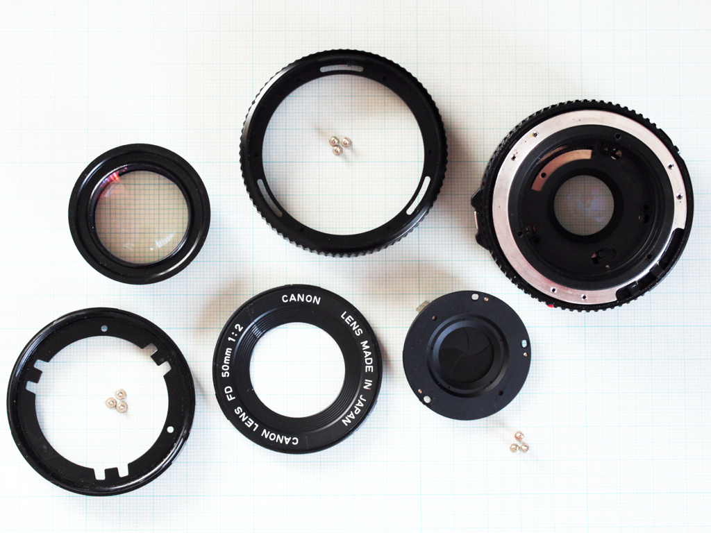 助けた亀等（カメラ）に連れられて-①