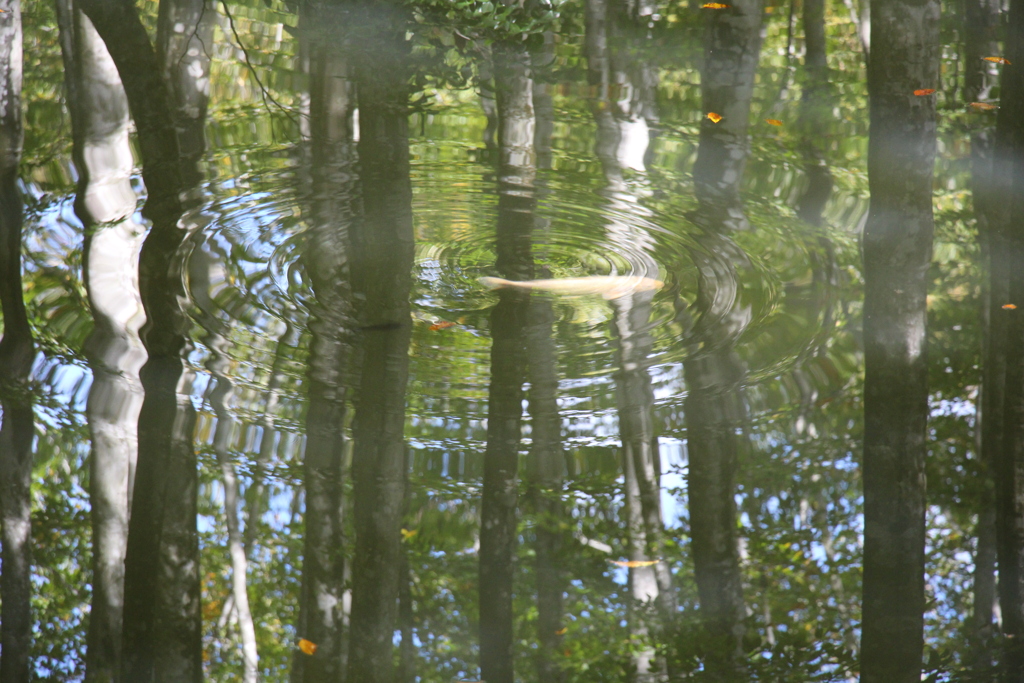 美人林旅情2019-➆