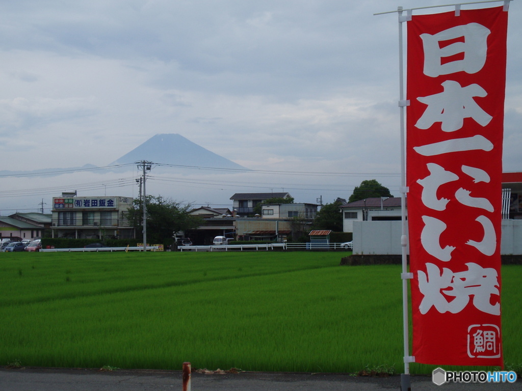 どこに行ってしまったの？日本一たい焼-③