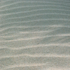 弓ヶ浜ウオーキング200527-⑩
