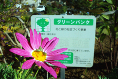 ゴチになります^^　