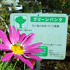 ゴチになります^^　