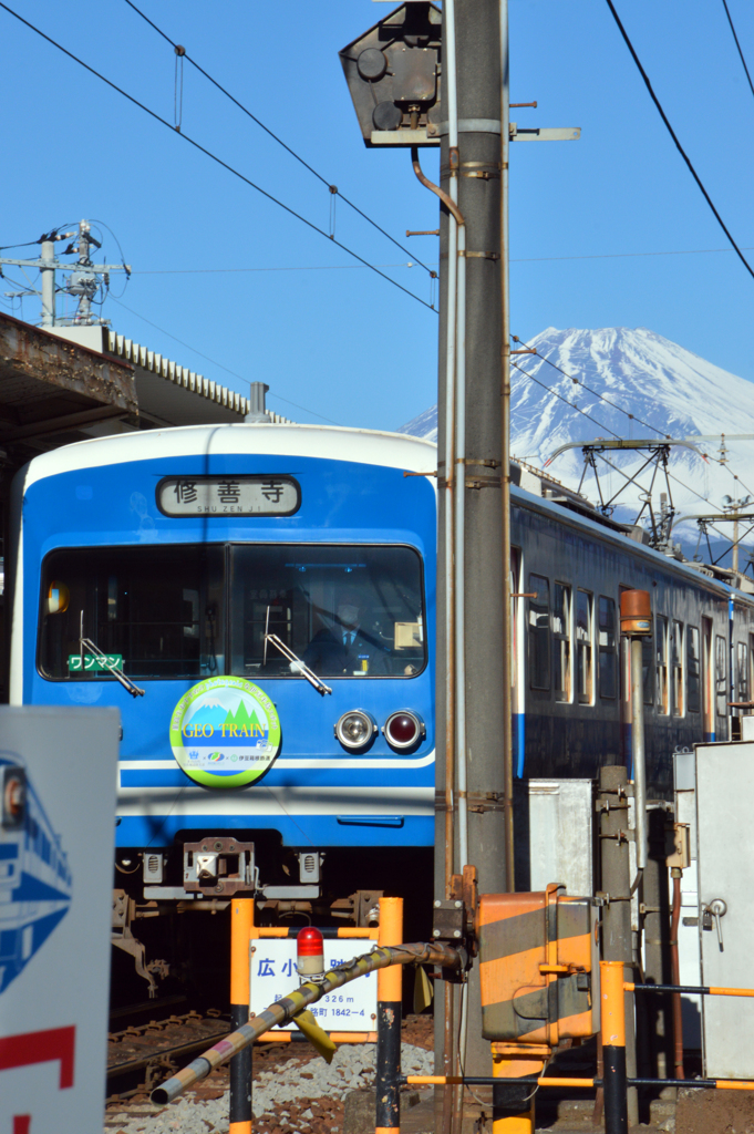 け　警戒されてる！