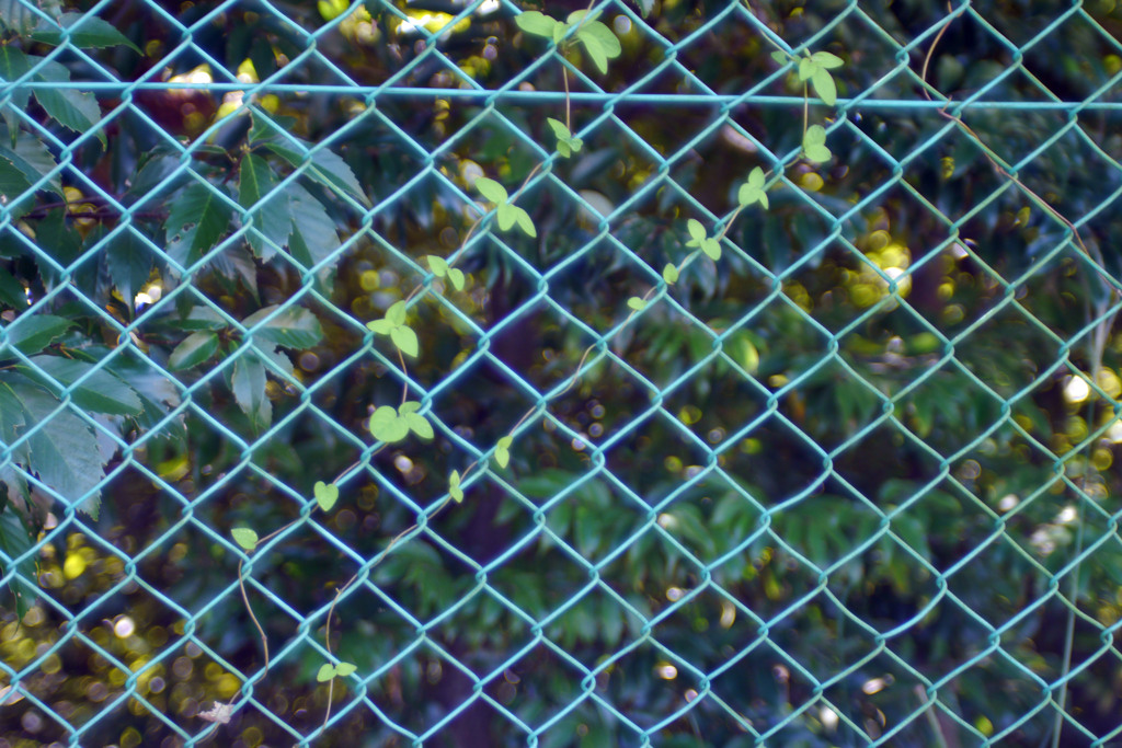 女性の設計による女性のためのレンズ-①