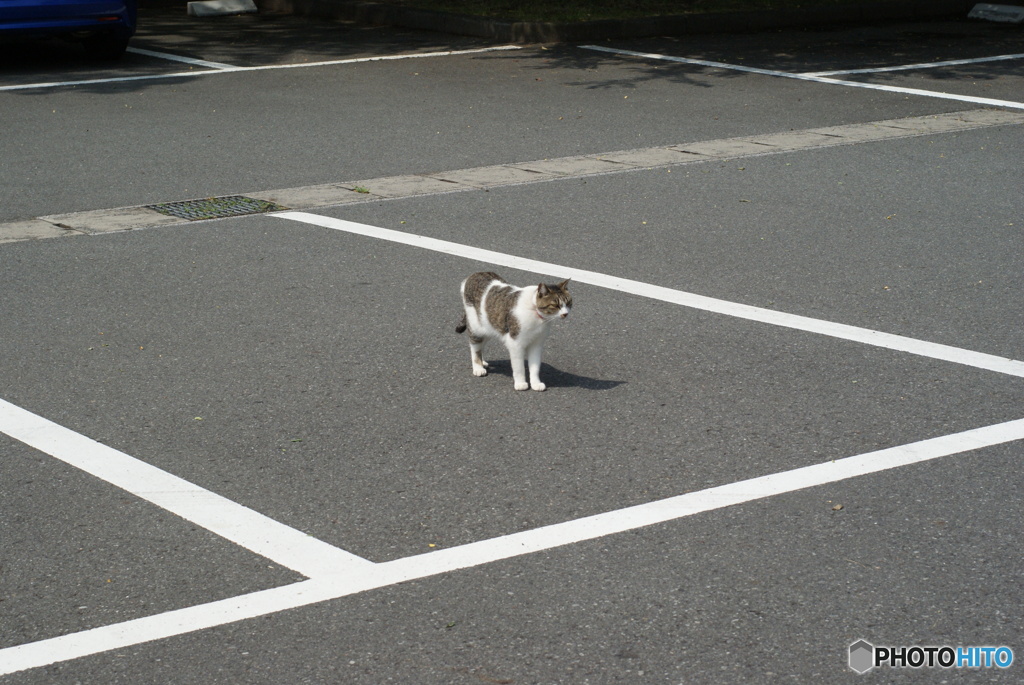 ここに駐車すっかな＾＾