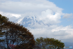 昨日の富士山-➁