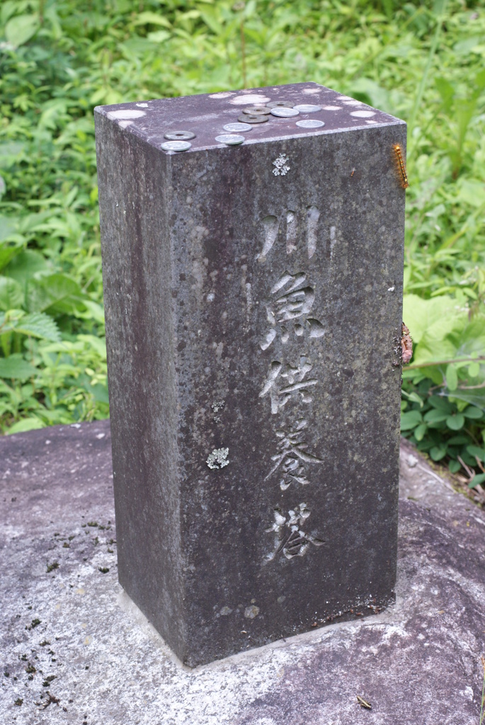 白州の森と尾白川渓谷-⑨