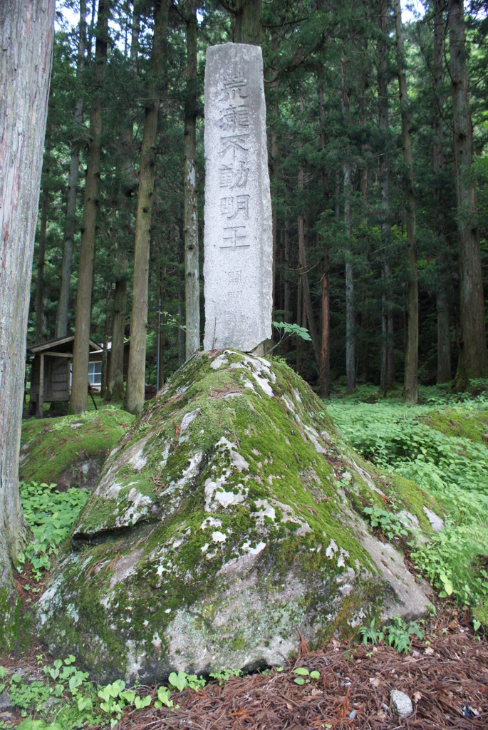 白州の森と尾白川渓谷-⑪