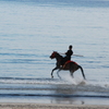 弓ヶ浜海水浴場に騎馬武者現る！-➆