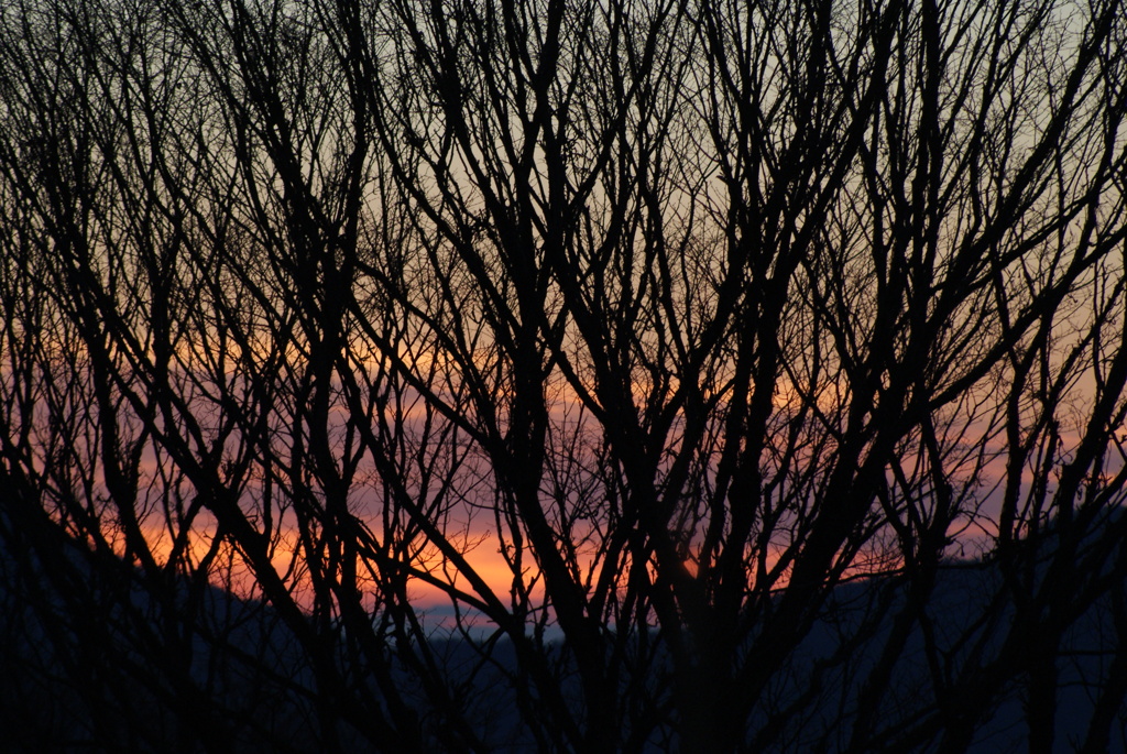 The Sun Also Rises ⑤