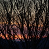 The Sun Also Rises ⑤