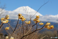 生まれ出ずる命④