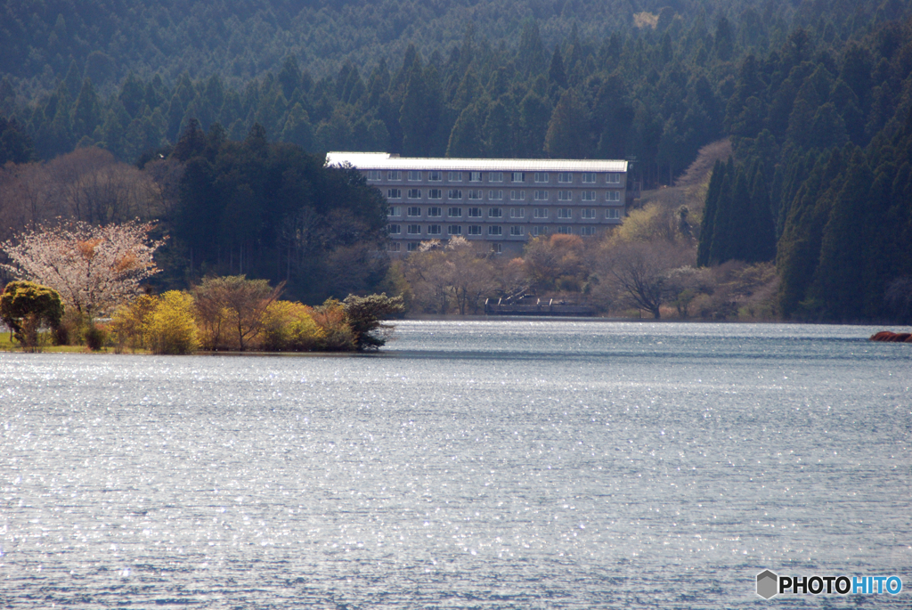 湖畔の春-③