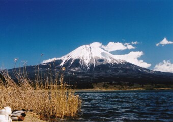 厳冬期の富士山（フイルム）-➁
