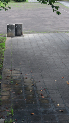 助けた亀等（カメラ）に連れられて-⑦