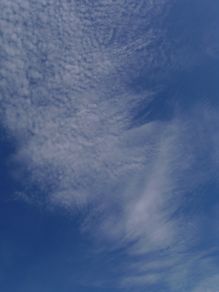 雲　⑧