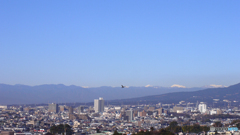 今朝の三島市と南アルプス＾＾