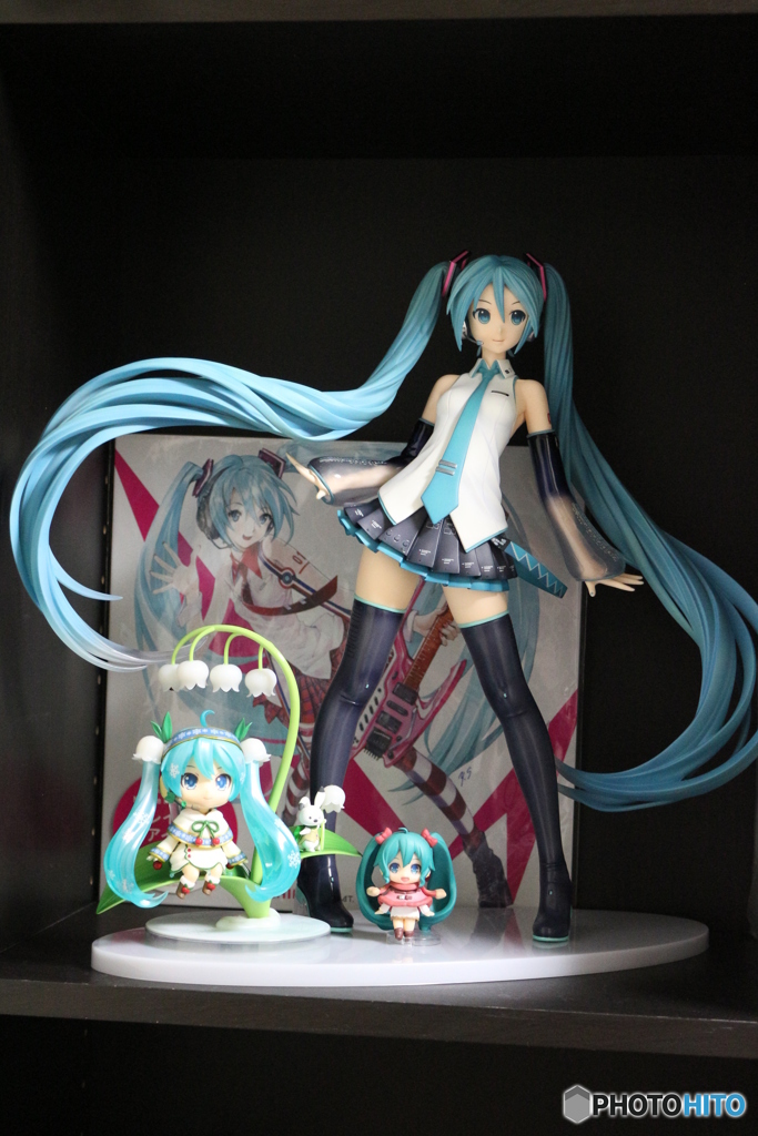 秘密の宝物＾＾ 2016