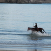 弓ヶ浜海水浴場に騎馬武者現る！-⑧