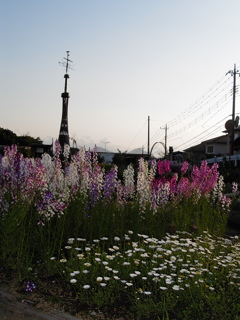 2020年4月4日の町内ウオーキング ①