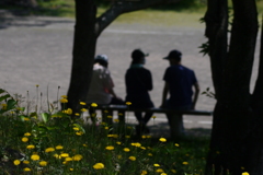 今日のお散歩の友は 200514-③