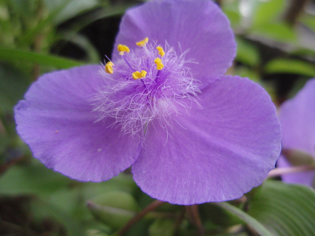 お花がいっぱい！ 200501-⑨