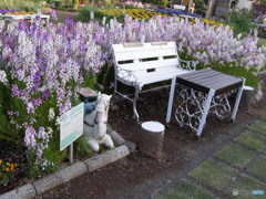 CONTAX TVS デジタルで、花の公園を撮る ④