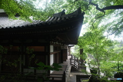高幡不動尊（五枚組）-③