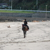 弓ヶ浜海水浴場に騎馬武者現る！-➃