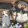 デコピンとたぬき＾＾）