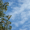視線の彼方は秋の空-①