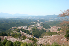 2010年桜旅・吉野山から京都へ-①